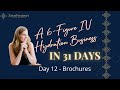 How To Start A 6 Figure IV Hydration Business - Day 12 Brochures