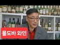 몰도바 와인?/와인 데이 국경일/푸카리 유명/바스타르도, 사페라비, 라라 네그라/전통과 잠재력/FICB 한국와인기사단 총사령관 Dr. KDJ