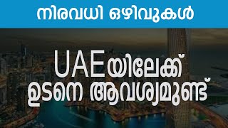 UAE യിലേക്ക് ഉടനെ ആവശ്യമുണ്ട് | നിരവധി ഒഴിവുകൾ  #todayjobvacancy #job