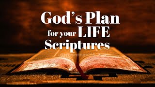 Life's Purpose in God's Words; Discover God's Plan in Your Life; Bible Verses: Life's Compass