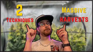 TWO TRAINING TECHNIQUES FOR MASSIVE HARVESTS