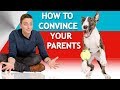 How to Convince Your Parents to Let You Have a Dog!