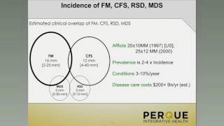 PERQUE Chronic Fatigue and Fibromyalgia Part 1 Clinical Principles