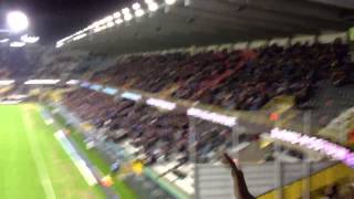 Brugge Fc v Newcastle United, sunderland taunt chant