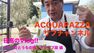 【日高のVlogシリーズ】#1 せとうちの旅 オリーブ園編