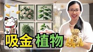 快速致富⚠️！這些植物能幫你吸金發財！🍀💰  吸引力法則【光與愛Lavi Ko】