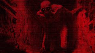 4chan Users Expose Dark Underground Secrets