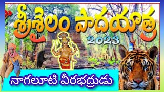 శ్రీశైలం పాదయాత్ర వెంకటాపురం//risking #Temple by walk/#Srisailampadayatra part 1