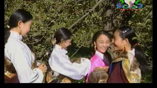 HQ | ལྷ་དར་དཀར་པོ། 2000's འབའ་གཞས། Tibetan Bashay Music Video Song