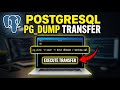How to transfer your PostgreSQL database safely using pg_dump - Beginner Guide