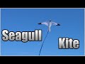 Brookite - Seagull kite