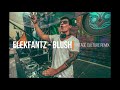ELEKFANTZ - BLUSH (vintage culture remix)