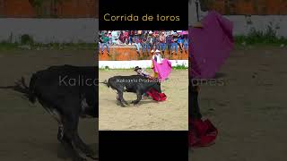 Corrida de toros tradicional Colquemarca  #toro #tradiciones