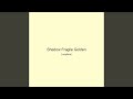 Shadow Fragile Golden