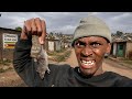 IRL STREAM: LET'S EAT STREET FOOD FROM ZIMBABWE 😭💔🙆🏾