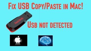 Problem with Copy/Paste files onto USB flash drive on Mac , how to fix