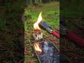 next level firestarter for survival 40 min burn time survival camping lifehacks