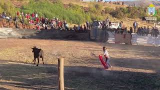 Tradicional corrida de toros