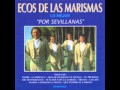 Ecos de las Marismas   Tu promesa