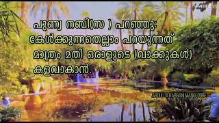 കൽബിലൊരു മോഹം .മദീന കാണാൻ അടിപൊളി in malayalam