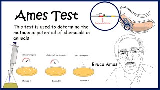 Ames test ( Technique to determine mutagenic potential)