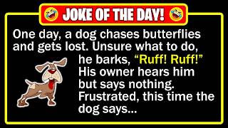 🤣 BEST JOKE OF THE DAY! - "Safari Tale" When Smart Tricks Turn Against The Wrong Target. | Dad Jokes