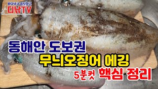 기초가 튼튼해야 실력이 빨리 늡니다! 동해안 도보권 무늬오징어 에깅 핵심정리 [디낚TV 낚시공부방]