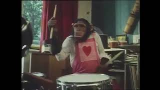 monkey play drums