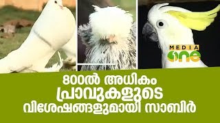 800ൽ അധികം പ്രാവുകളുടെ വിശേഷങ്ങളുമായി സാബിർ