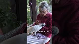 Grandma is cockatoo girlfriend