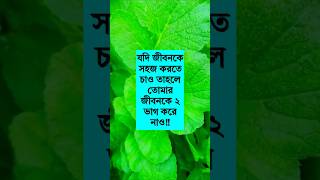 জীবনকে সহজ করতে চাইলে ২ ভাগ করে নাও। #shortvideo #trending #motivation