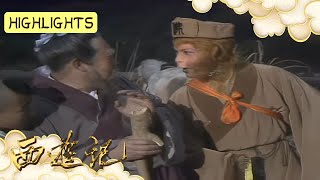 昔日送桃小孩已成白发老翁！孙悟空直言：你小时候上山砍柴 我还见过你呢！#journeytothewest #西游记 #tâyduký