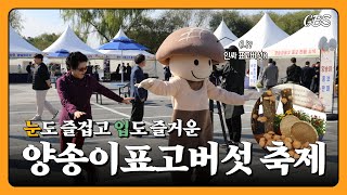 [양송이-표고버섯축제]이거 실화?! 눈도 입도 즐거운 부여버섯축제 많이 놀러오세요~