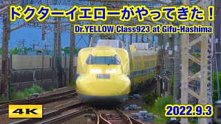 ドクターイエローがやってきた！岐阜羽島駅 2022.9.3【4K】