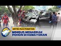 Akibat Supir Mengantuk, Sebuah Minibus Menabrak Pohon di Kemayoran