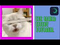Eye Smear Effect Tutorial...Alight Motion