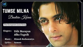 Tumse Milna (Lyrics) - Tere Naam | Salman Khan | Udit Narayan, Alka Yagnik | Himesh Reshammiya
