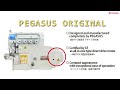 pegasus mx overlock