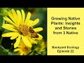 Growing Native Plants: Insights and Stories from 3 Native Plant Nurseries