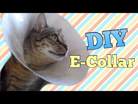 DIY E-Collar DIY E-Collar
