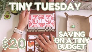 🥑 TINY TUESDAY $20 | Fun Way To Save On A Tiny Budget | Nov Week 4