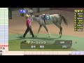 地方競馬ライブ（馬番透視）】6 18（火）門別競馬 の馬券に絡む馬番を透視し配信します。穴馬探しや大穴馬券ゲットにお役立て下さい。