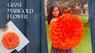 How to Make Giant Marigold Flower || Part 3 || Giant Paper Flower