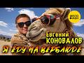 Евгений Коновалов - Я еду на верблюде (Official Video, 2026) @MELOMANVIDEO