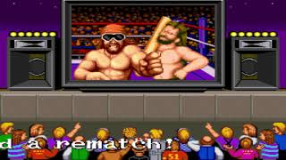 MAME  WWF WWE Superstars 1989 Tokyo Plays