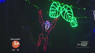 Colorful lights at the San Antonio Zoo