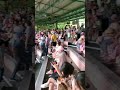 表演結束下大雨，被困的遊客們自得其樂│曼谷塞福瑞野生動物園 safari world