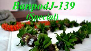 Banpodj 139 special mp3