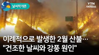 [날씨학개론] 이례적으로 발생한 2월 산불…\