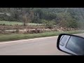 Short video of some of the flooding damage